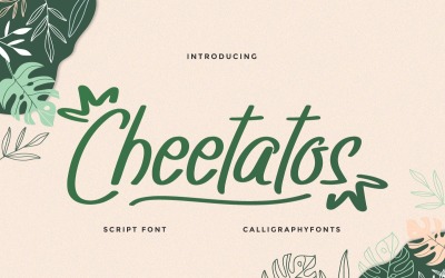 Cheetatos Fun Handschrift Schriftart