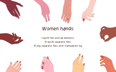 Kadın Elleri Koleksiyonu - Vektör Ve PNG