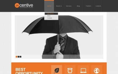 促销网站的免费广告 WordPress 设计