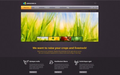 Darmowy projekt WordPress dla biznesu promocyjnego Rolnictwo