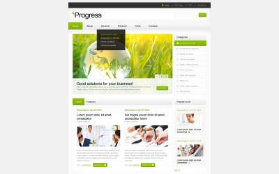 Ingyenes online üzlet és szolgáltatások WordPress téma