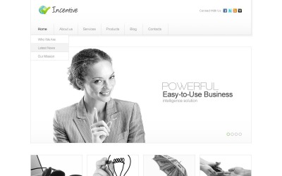 Plantilla de promoción gratuita de WordPress para negocios y servicios