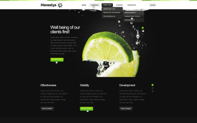 Webdesign WordPress gratuito per aziende e servizi