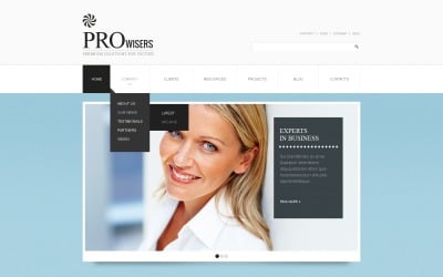 Free Business & Services Promotion with WordPress Theme