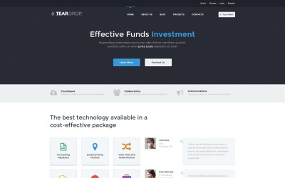 Gratis Clean Investment Company WordPress Theme