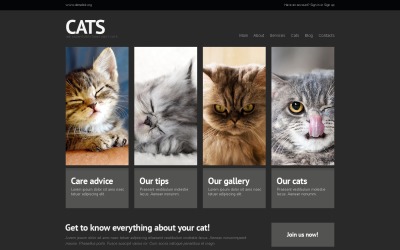 Plantilla WordPress gratuita para gatos