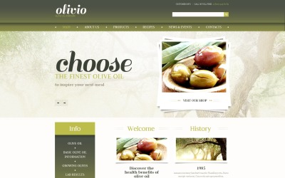 Gratis Food Store Responsive WordPress Theme &amp;amp; Website Mall