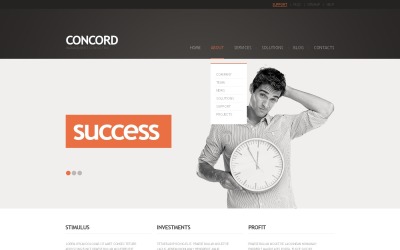 Kostenloses Business Advisor WordPress-Theme und Website-Vorlage