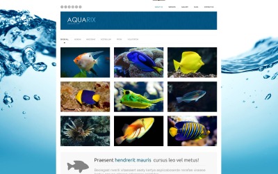 Layout de site WordPress gratuito para peixes responsivos