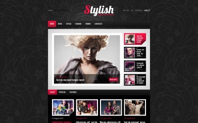 Mod için Ücretsiz WordPress Teması ve Web Sitesi Şablonu