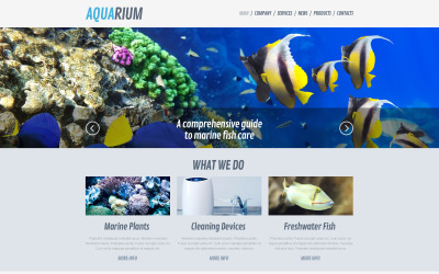 Tema Free Fish WordPress e modelo de site