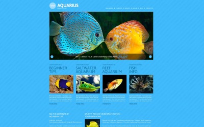 Tema WordPress e modelo de site grátis para peixes responsivos