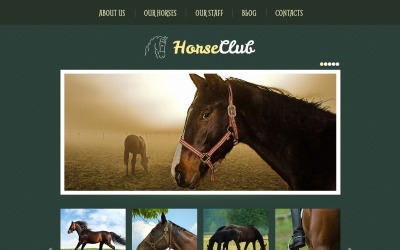 Tema e modello del sito Web WordPress gratuito per cavalli
