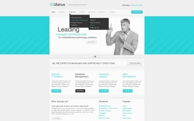 Free Internet WordPress Website Theme &amp;amp; Template