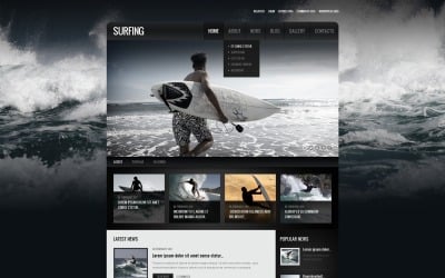 免费响应式冲浪 WordPress 设计