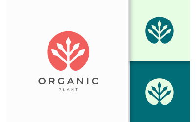 Szablon logo roślin naturalnych