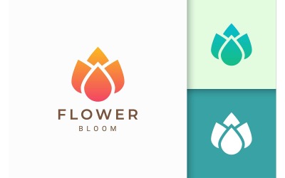Plantilla de logotipo de flor de flor abstracta