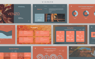Vienzo - Профессиональная презентация инфографической статистики