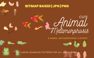 Metamorfose 8 Clipart Illustratie Plus Naadloos Patroon