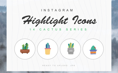 14 шаблонов Cactus Instagram Highlight Cover Iconset
