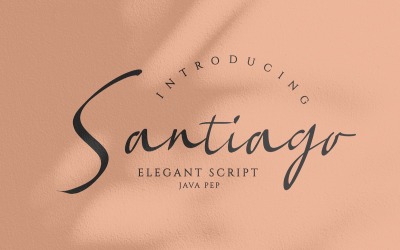 Santiago // Elegant lettertype