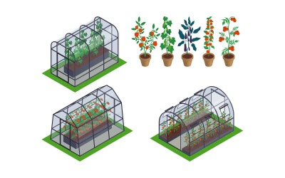 Izometrikus üvegházhatású zöldség készlet vektoros illusztráció koncepció