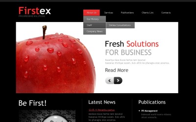 Bezplatné poradenské služby Šablona CMS webu WordPress