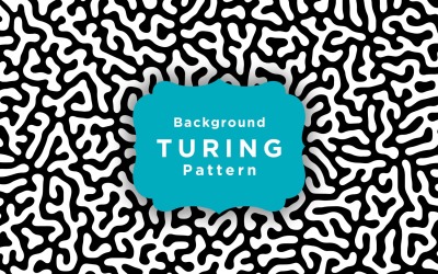 Abstract Diffusion Turing Pattern With Chaotic Shapes