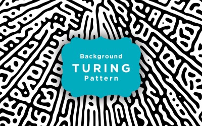 Šablona Turingova vzoru černé a bílé organické zaoblené čáry