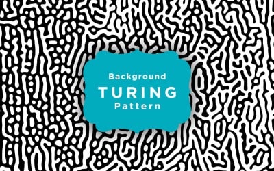 Abstract Diffusion Turing Pattern With Chaotic Shapes Background