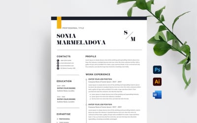 Modèle de CV minimaliste Word