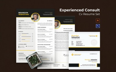 CV doświadczonego konsultanta