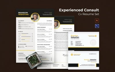 Experienced Consultant CV Resume