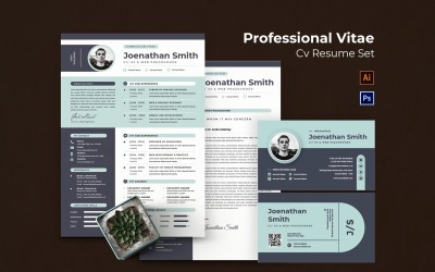 Резюме Professional Vitae CV