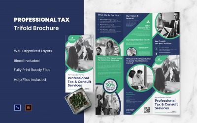 Professionell Tax Flyer Trifold