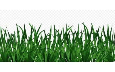 Green Grass 210200310 Vector Illustration Concept