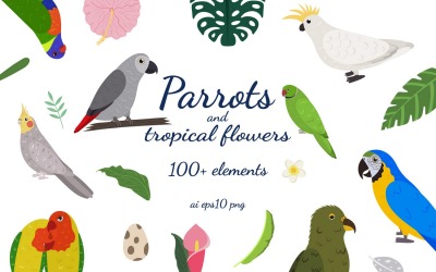 鹦鹉和热带花卉剪贴画集合