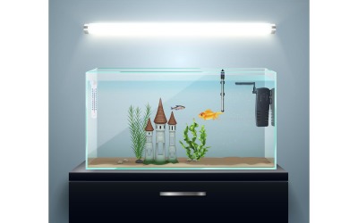 Equipo de peces de acuario Composición realista 210321107 Concepto de ilustración vectorial