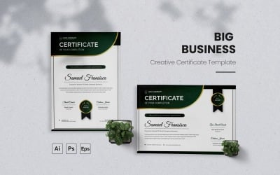 Modern Big Business Certificate