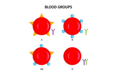 Grupa Krwi 201250403 Koncepcja Ilustracja Wektorowa