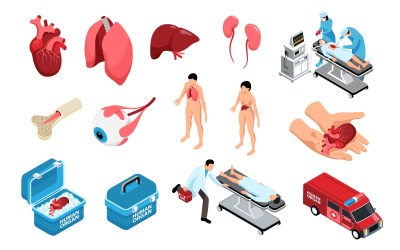 Isometric Donor Human Organs Set 201110518 Vector Illustration Concept