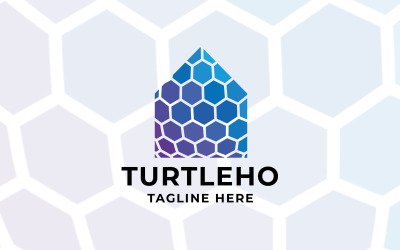 Logo professionale della casa della tartaruga