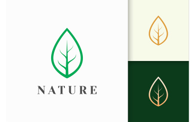 Logotipo de hoja en forma de línea simple para la marca de belleza y salud