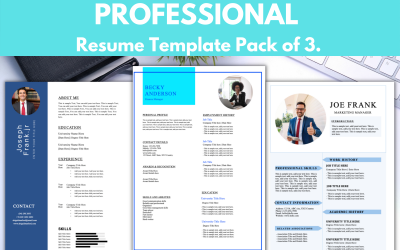 3er Pack Professioneller Lebenslauf / Lebenslauf Vorlage - Microsoft Word Lebenslauf CV Format