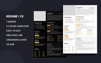 Professional CV Resume Template Design For A Creative Person