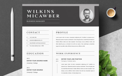 Wilkins / Modèle de CV moderne