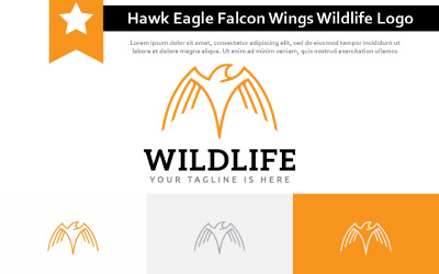 Hawk Eagle Falcon Wings Wildlife Vogel Monoline Logo Sjabloon