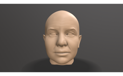 Male Head Sculpt 3D Model