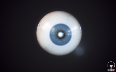 Modello 3d realistico del bulbo oculare