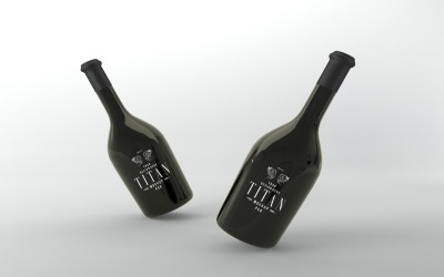 Representación 3D de una maqueta de dos botellas de vino negro suave aislada en el fondo gris claro